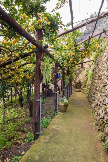 #La Limonaia Della Torretta Villa Minori Kültér fotó