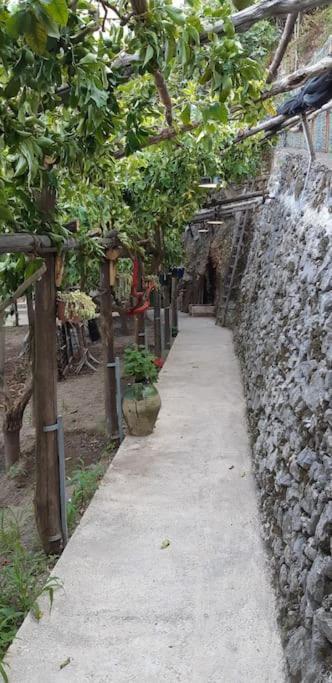 #La Limonaia Della Torretta Villa Minori Kültér fotó
