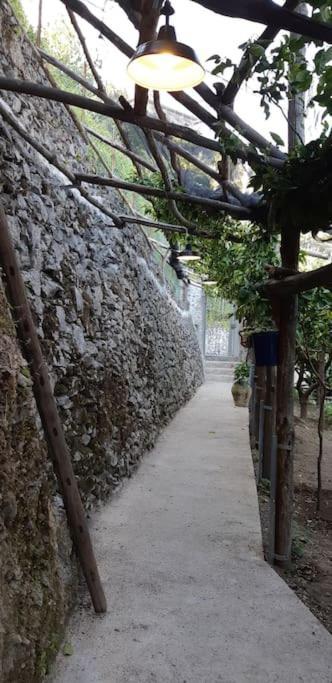 #La Limonaia Della Torretta Villa Minori Kültér fotó