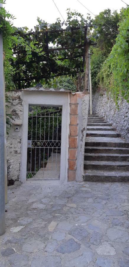 #La Limonaia Della Torretta Villa Minori Kültér fotó