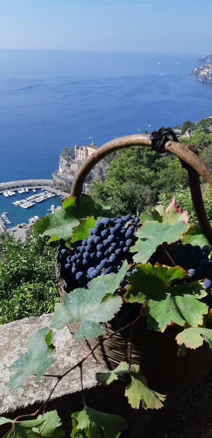 #La Limonaia Della Torretta Villa Minori Kültér fotó